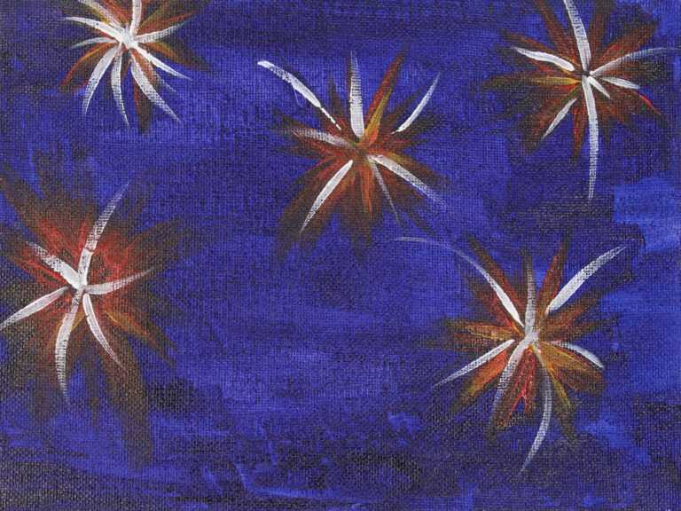 69_Tammy Schutz